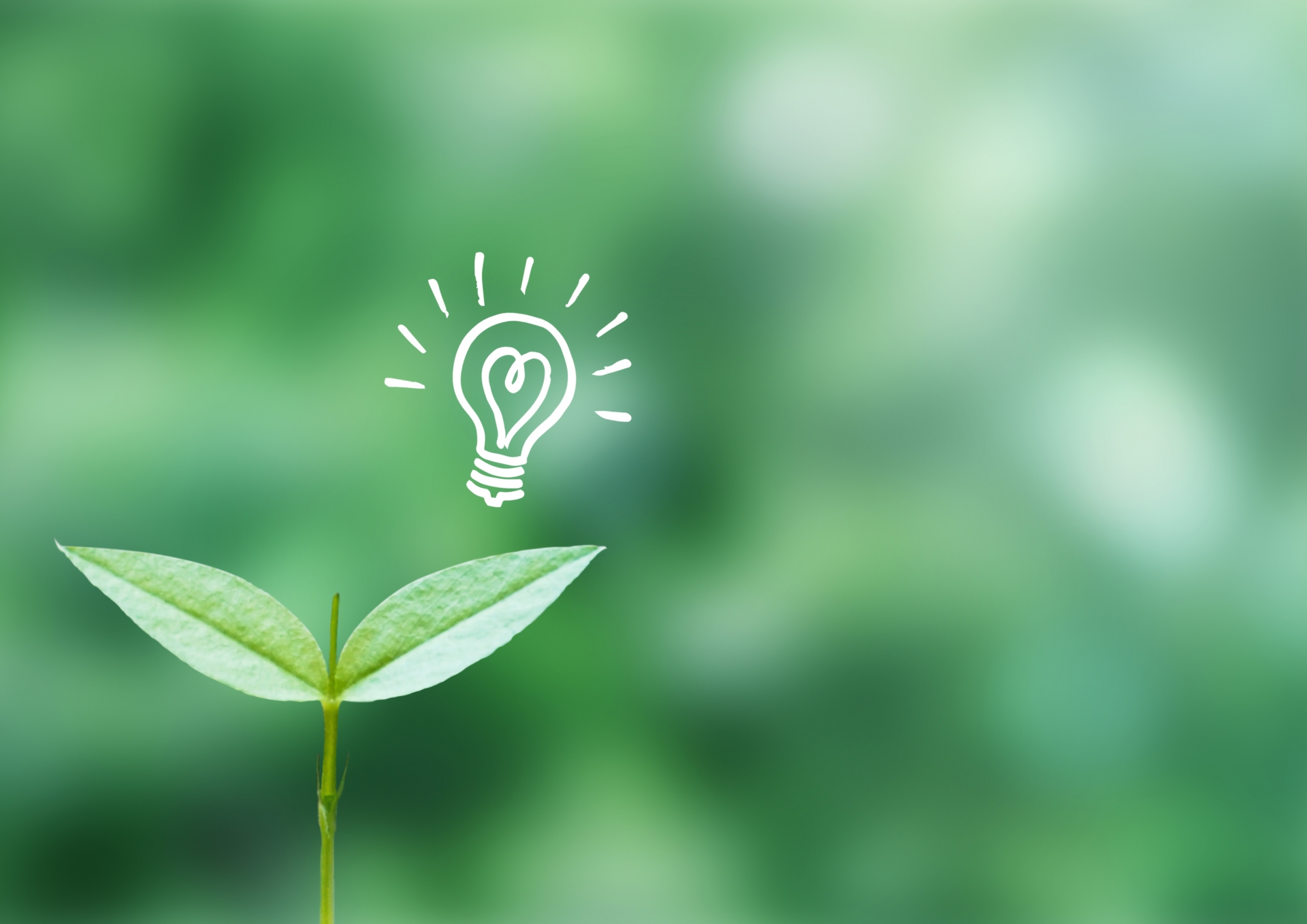 家電の電気代・省エネ